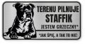 Uwaga pies tabliczka ostrzegawcza 20x10 Staffik