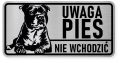 Uwaga pies tabliczka ostrzegawcza 20x10 Staffik