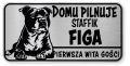 Uwaga pies tabliczka ostrzegawcza 20x10 Staffik