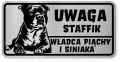 Uwaga pies tabliczka ostrzegawcza 20x10 Staffik