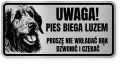 Uwaga pies tabliczka ostrzegawcza 20x10 Wilczarz