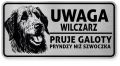 Uwaga pies tabliczka ostrzegawcza 20x10 Wilczarz