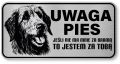 Uwaga pies tabliczka ostrzegawcza 20x10 Wilczarz