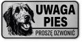 Uwaga pies tabliczka ostrzegawcza 20x10 Wilczarz