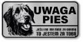 Uwaga pies tabliczka ostrzegawcza 20x10 Wilczarz