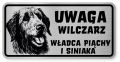 Uwaga pies tabliczka ostrzegawcza 20x10 Wilczarz