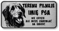 Uwaga pies tabliczka ostrzegawcza 20x10 Wilczarz z imieniem psa