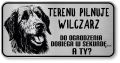 Uwaga pies tabliczka ostrzegawcza 20x10 Wilczarz