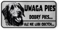 Uwaga pies tabliczka ostrzegawcza 20x10 Wilczarz z imieniem psa