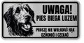 Uwaga pies tabliczka ostrzegawcza 20x10 Wilczarz z imieniem psa