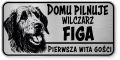 Uwaga pies tabliczka ostrzegawcza 20x10 Wilczarz z imieniem psa