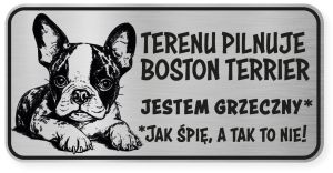 Uwaga pies tabliczka ostrzegawcza 20x10 Boston Terrier