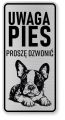 Uwaga pies tabliczka ostrzegawcza 10x20 Boston Terrier