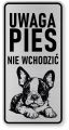 Uwaga pies tabliczka ostrzegawcza 10x20 Boston Terrier