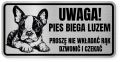 Uwaga pies tabliczka ostrzegawcza 20x10 Boston Terrier