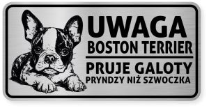 Uwaga pies tabliczka ostrzegawcza 20x10 Boston Terrier