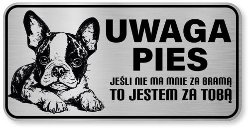 Uwaga pies tabliczka ostrzegawcza 20x10 Boston Terrier