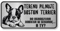 Uwaga pies tabliczka ostrzegawcza 20x10 Boston Terrier