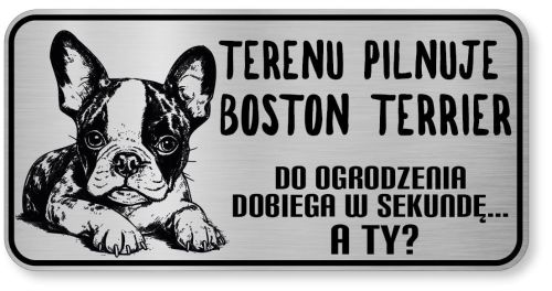 Uwaga pies tabliczka ostrzegawcza 20x10 Boston Terrier