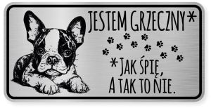 Uwaga pies tabliczka ostrzegawcza 20x10 Boston Terrier