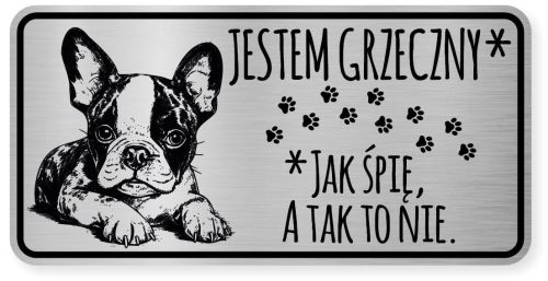 Uwaga pies tabliczka ostrzegawcza 20x10 Boston Terrier