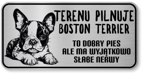 Uwaga pies tabliczka ostrzegawcza 20x10 Boston Terrier