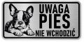 Uwaga pies tabliczka ostrzegawcza 20x10 Boston Terrier