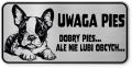 Uwaga pies tabliczka ostrzegawcza 20x10 Boston Terrier