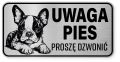 Uwaga pies tabliczka ostrzegawcza 20x10 Boston Terrier