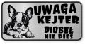 Uwaga pies tabliczka ostrzegawcza 20x10 Boston Terrier