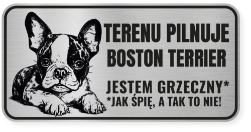 Uwaga pies tabliczka ostrzegawcza 20x10 Boston Terrier