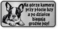 Uwaga pies tabliczka ostrzegawcza 20x10 Boston Terrier