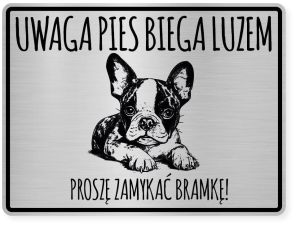 Uwaga pies tabliczka ostrzegawcza 20x15 Boston Terrier
