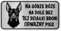 Uwaga pies tabliczka ostrzegawcza 20x10 Doberman