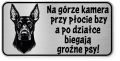 Uwaga pies tabliczka ostrzegawcza 20x10 Doberman