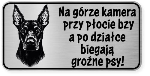 Uwaga pies tabliczka ostrzegawcza 20x10 Doberman