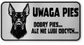 Uwaga pies tabliczka ostrzegawcza 20x10 Doberman
