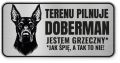 Uwaga pies tabliczka ostrzegawcza 20x10 Doberman