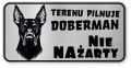 Uwaga pies tabliczka ostrzegawcza 20x10 Doberman