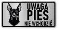 Uwaga pies tabliczka ostrzegawcza 20x10 Doberman