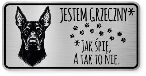 Uwaga pies tabliczka ostrzegawcza 20x10 Doberman