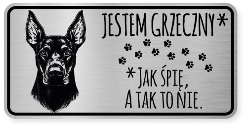 Uwaga pies tabliczka ostrzegawcza 20x10 Doberman