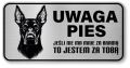 Uwaga pies tabliczka ostrzegawcza 20x10 Doberman