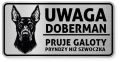 Uwaga pies tabliczka ostrzegawcza 20x10 Doberman