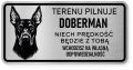 Uwaga pies tabliczka ostrzegawcza 20x10 Doberman