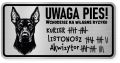 Uwaga pies tabliczka ostrzegawcza 20x10 Doberman