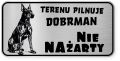Uwaga pies tabliczka ostrzegawcza 20x10 Doberman