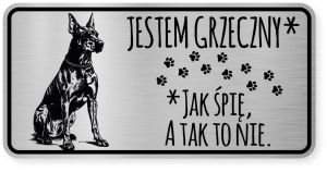 Uwaga pies tabliczka ostrzegawcza 20x10 Doberman