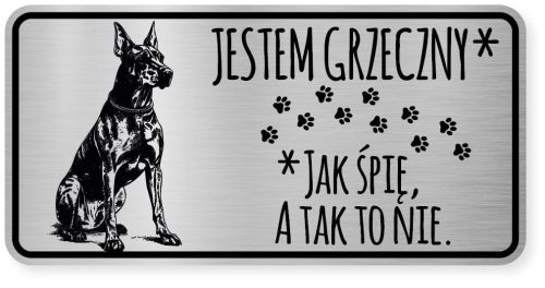 Uwaga pies tabliczka ostrzegawcza 20x10 Doberman