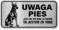 Uwaga pies tabliczka ostrzegawcza 20x10 Doberman